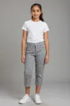 pantalon aspro gris